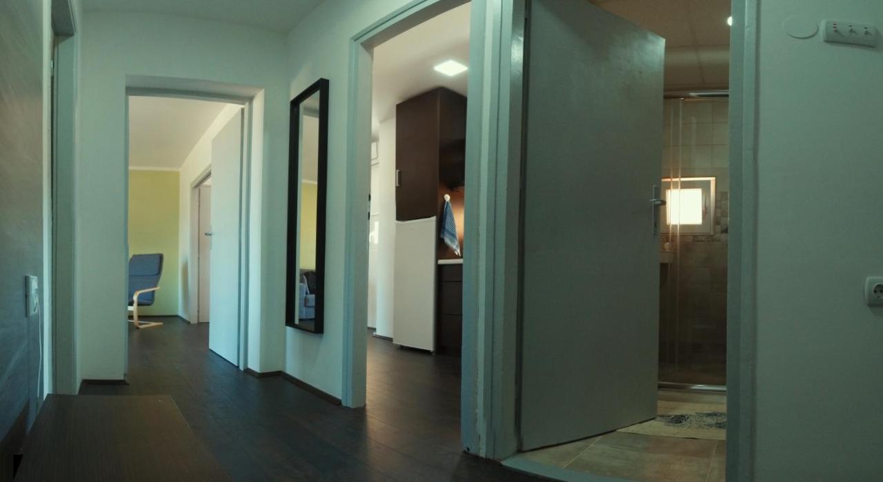 Apartman Terassa Donji Milanovac Bagian luar foto