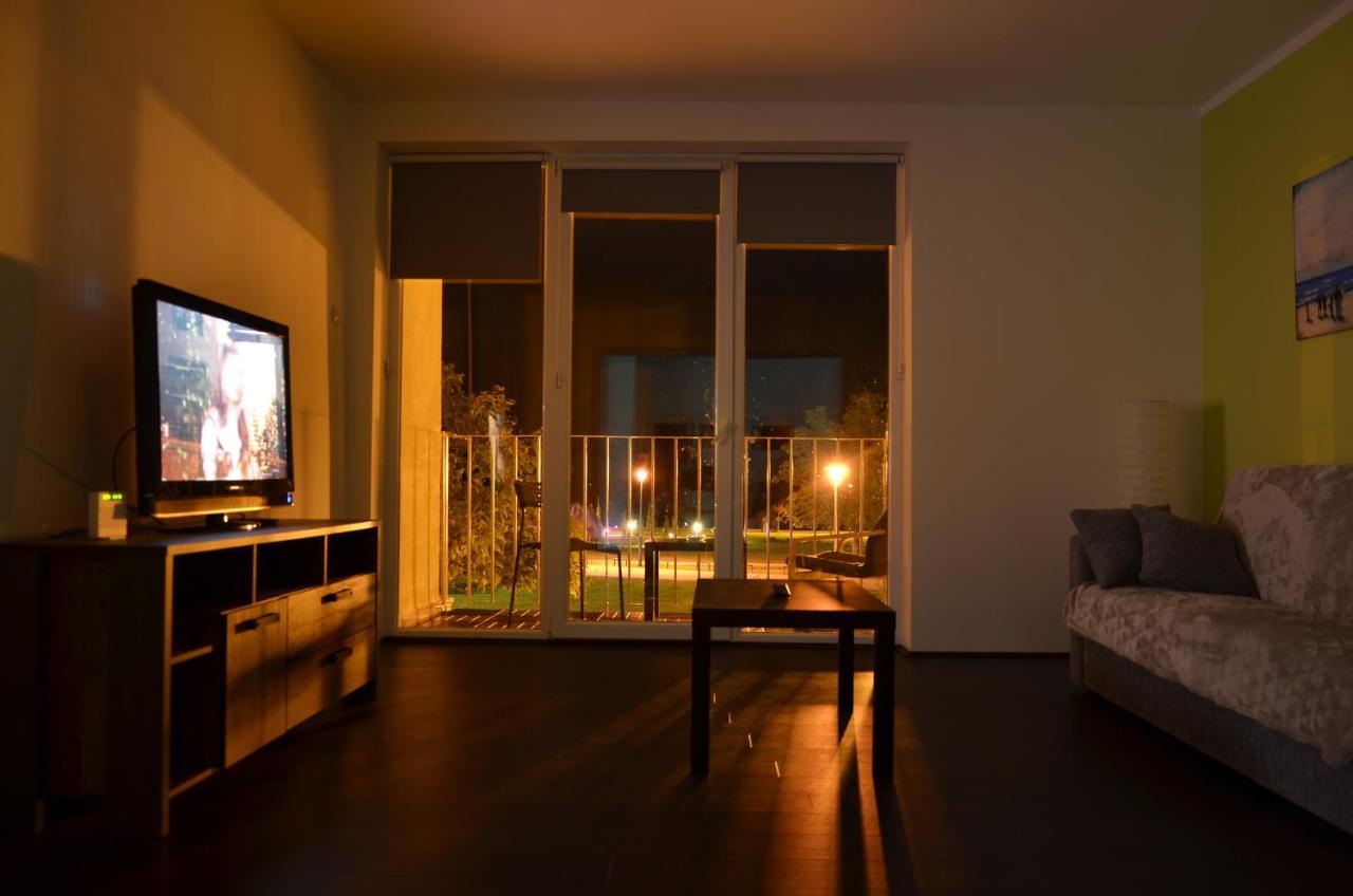 Apartman Terassa Donji Milanovac Bagian luar foto