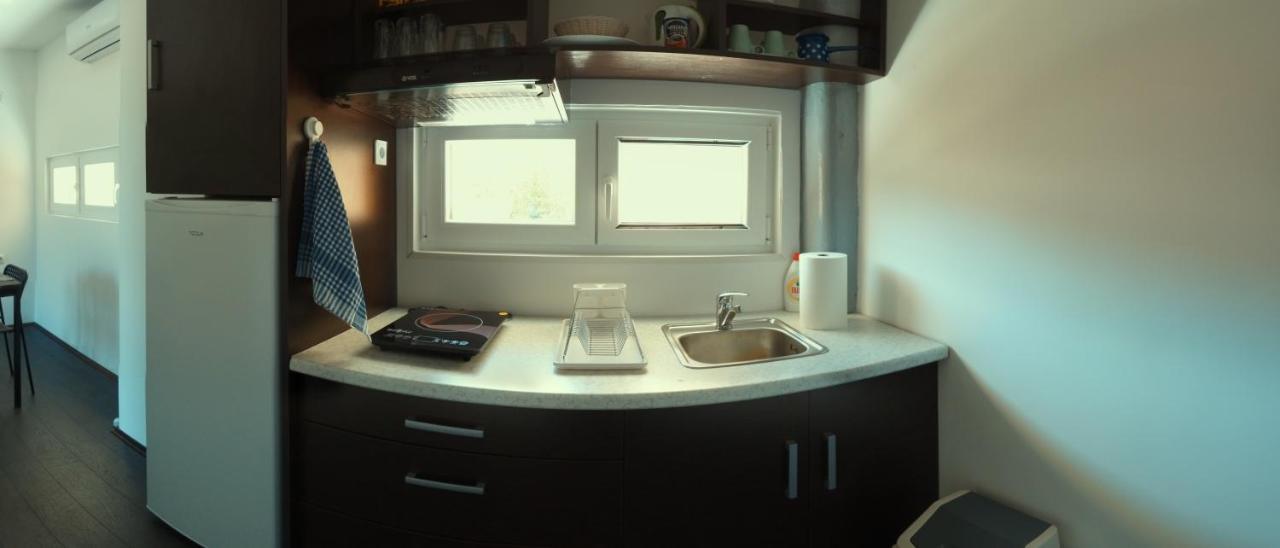 Apartman Terassa Donji Milanovac Bagian luar foto