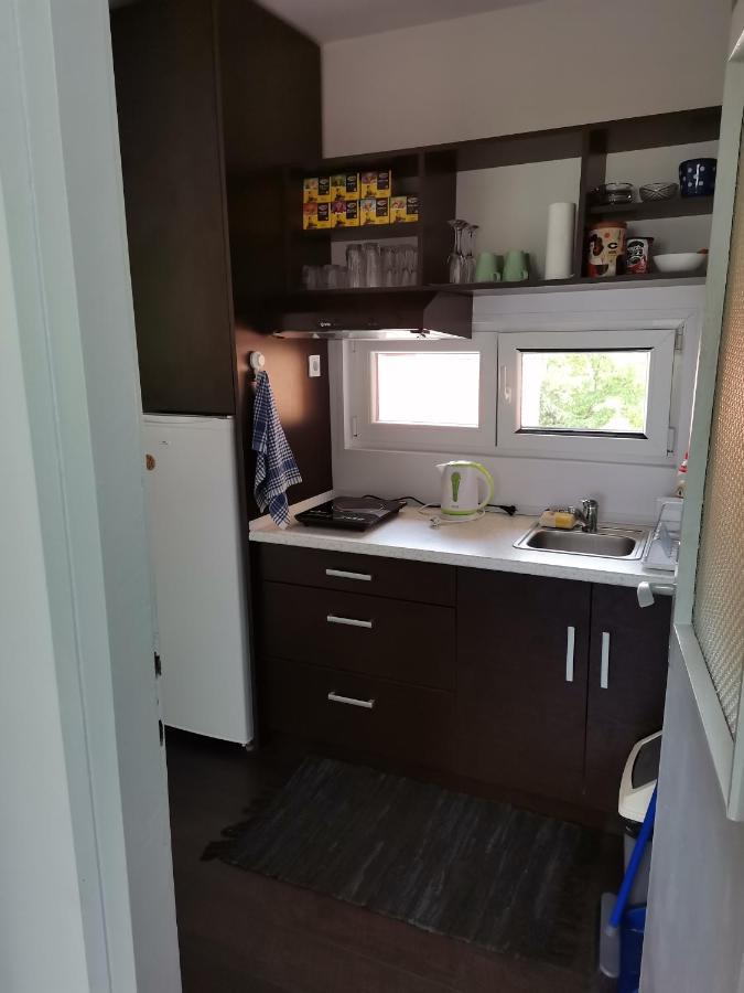 Apartman Terassa Donji Milanovac Bagian luar foto