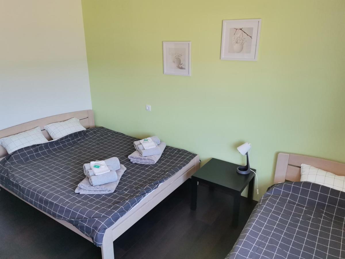 Apartman Terassa Donji Milanovac Bagian luar foto
