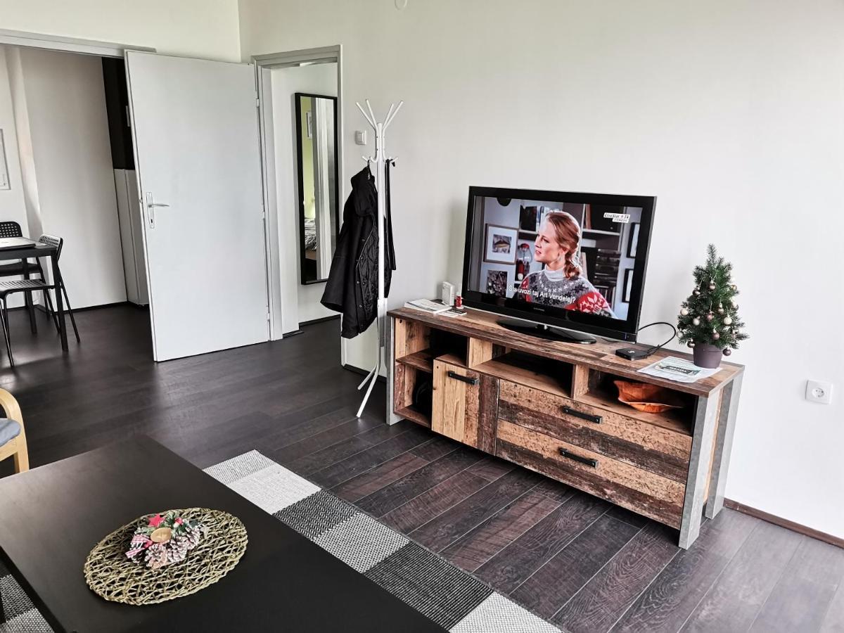 Apartman Terassa Donji Milanovac Bagian luar foto