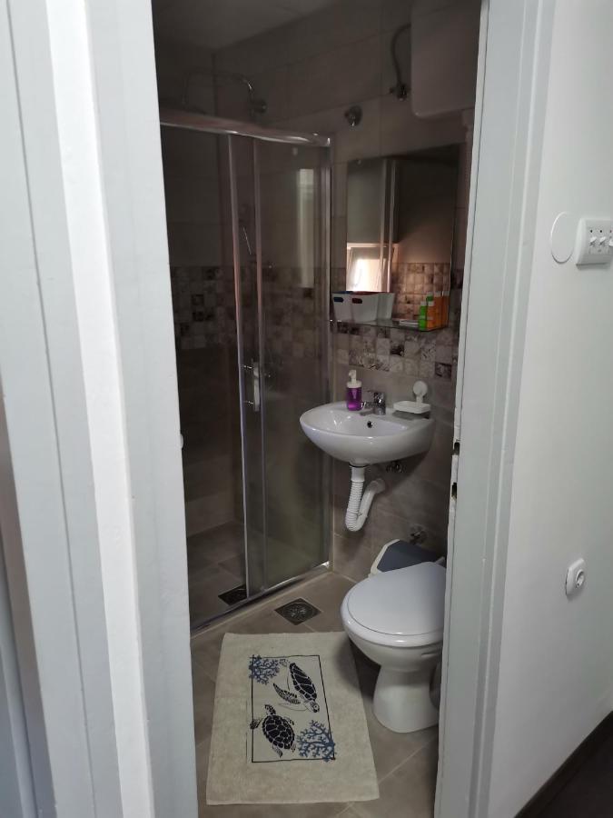 Apartman Terassa Donji Milanovac Bagian luar foto