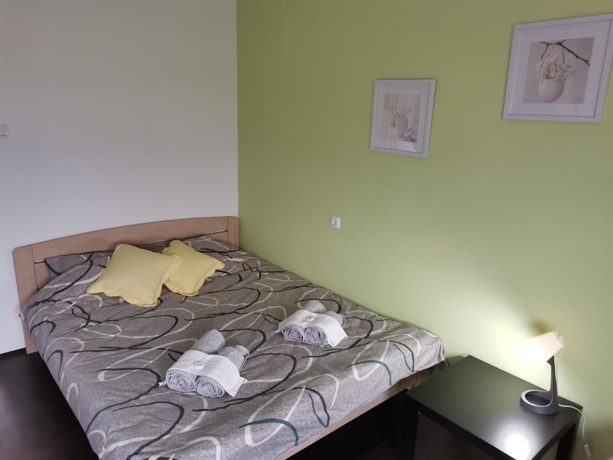 Apartman Terassa Donji Milanovac Bagian luar foto
