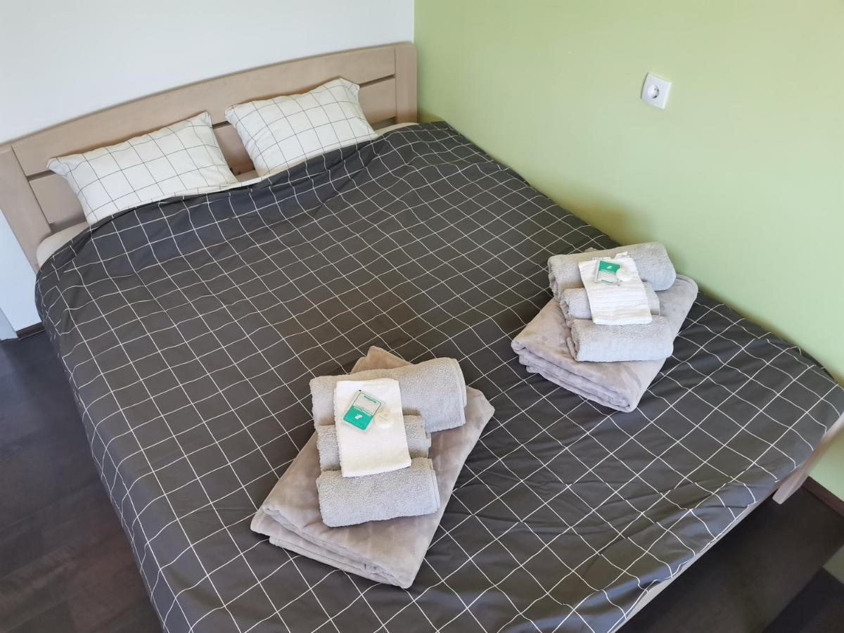 Apartman Terassa Donji Milanovac Bagian luar foto