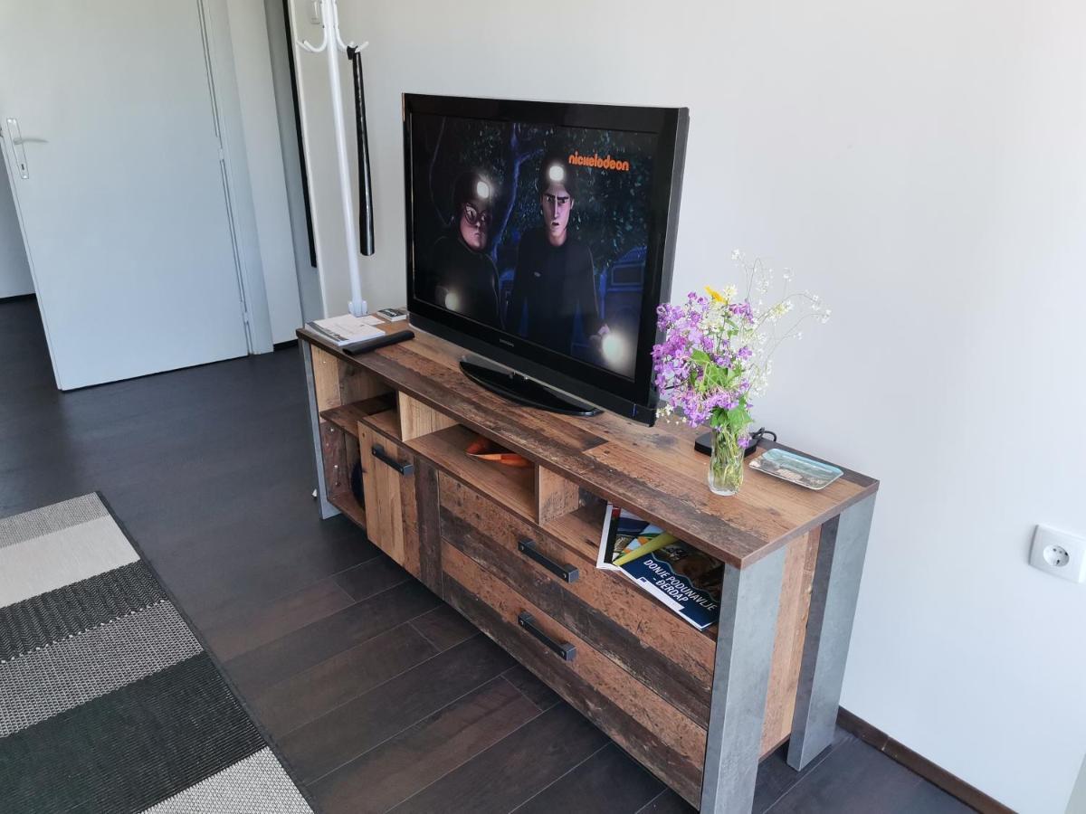Apartman Terassa Donji Milanovac Bagian luar foto