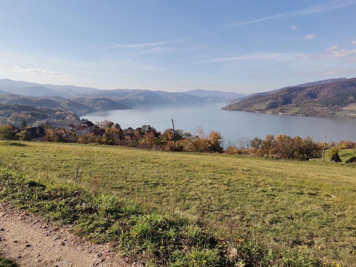 Apartman Terassa Donji Milanovac Bagian luar foto