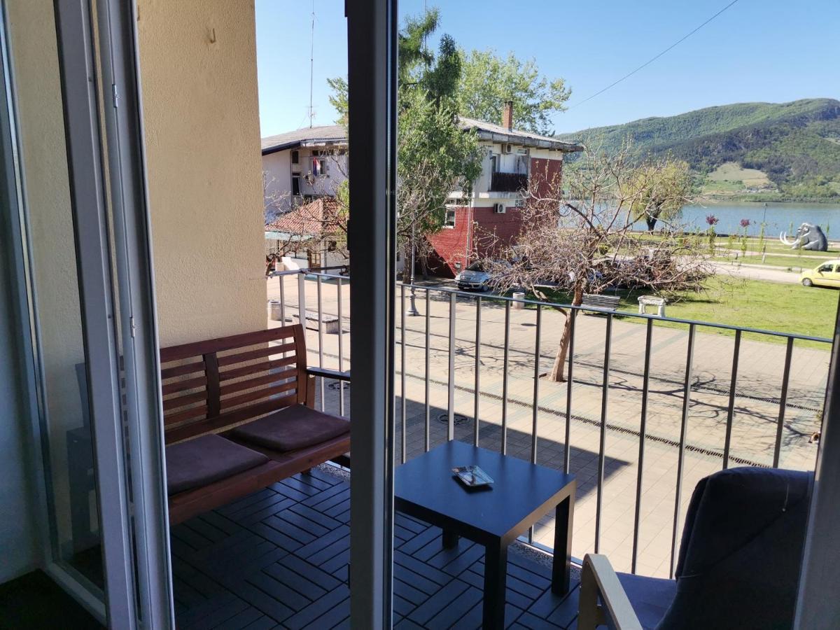 Apartman Terassa Donji Milanovac Bagian luar foto