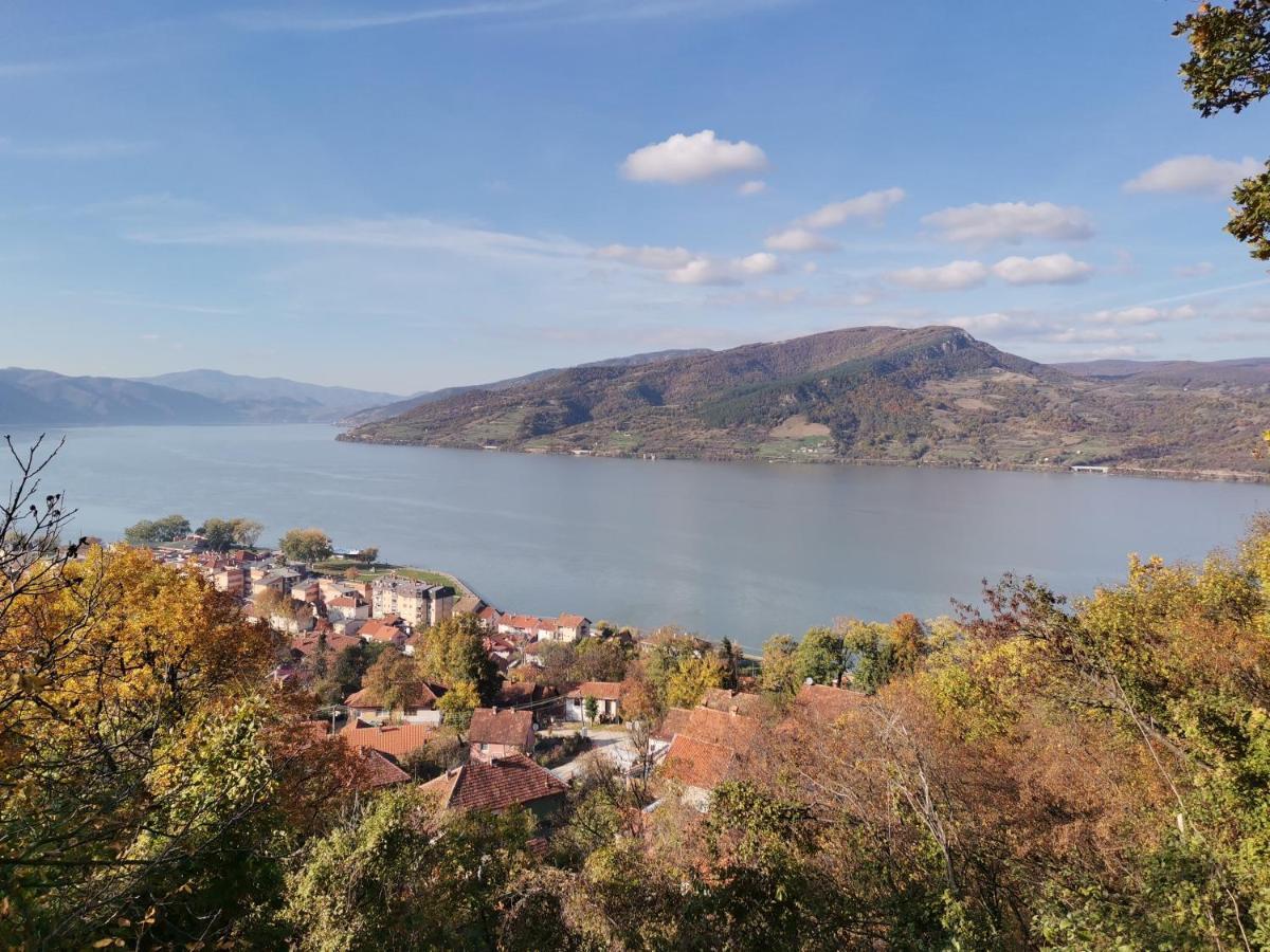 Apartman Terassa Donji Milanovac Bagian luar foto