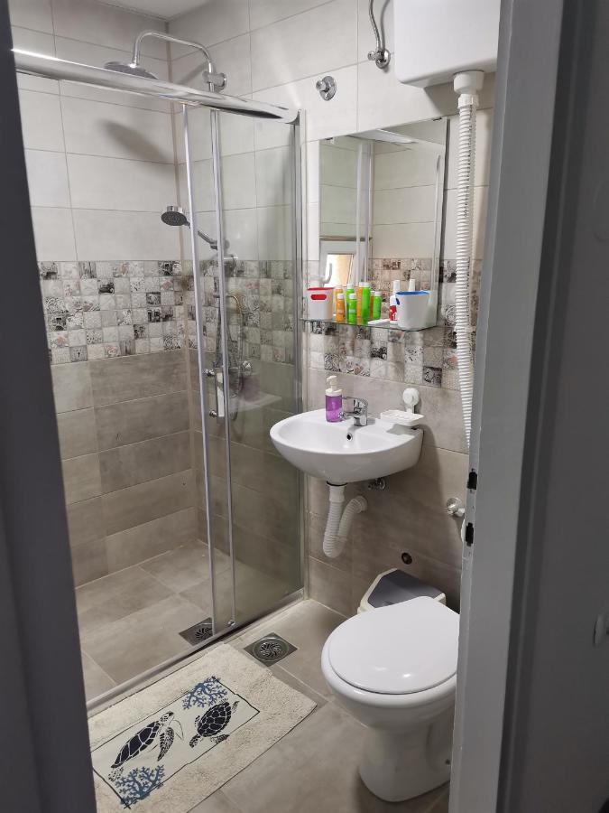 Apartman Terassa Donji Milanovac Bagian luar foto