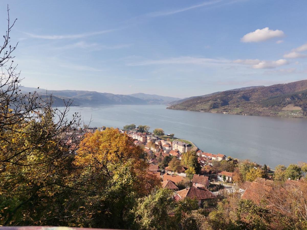 Apartman Terassa Donji Milanovac Bagian luar foto