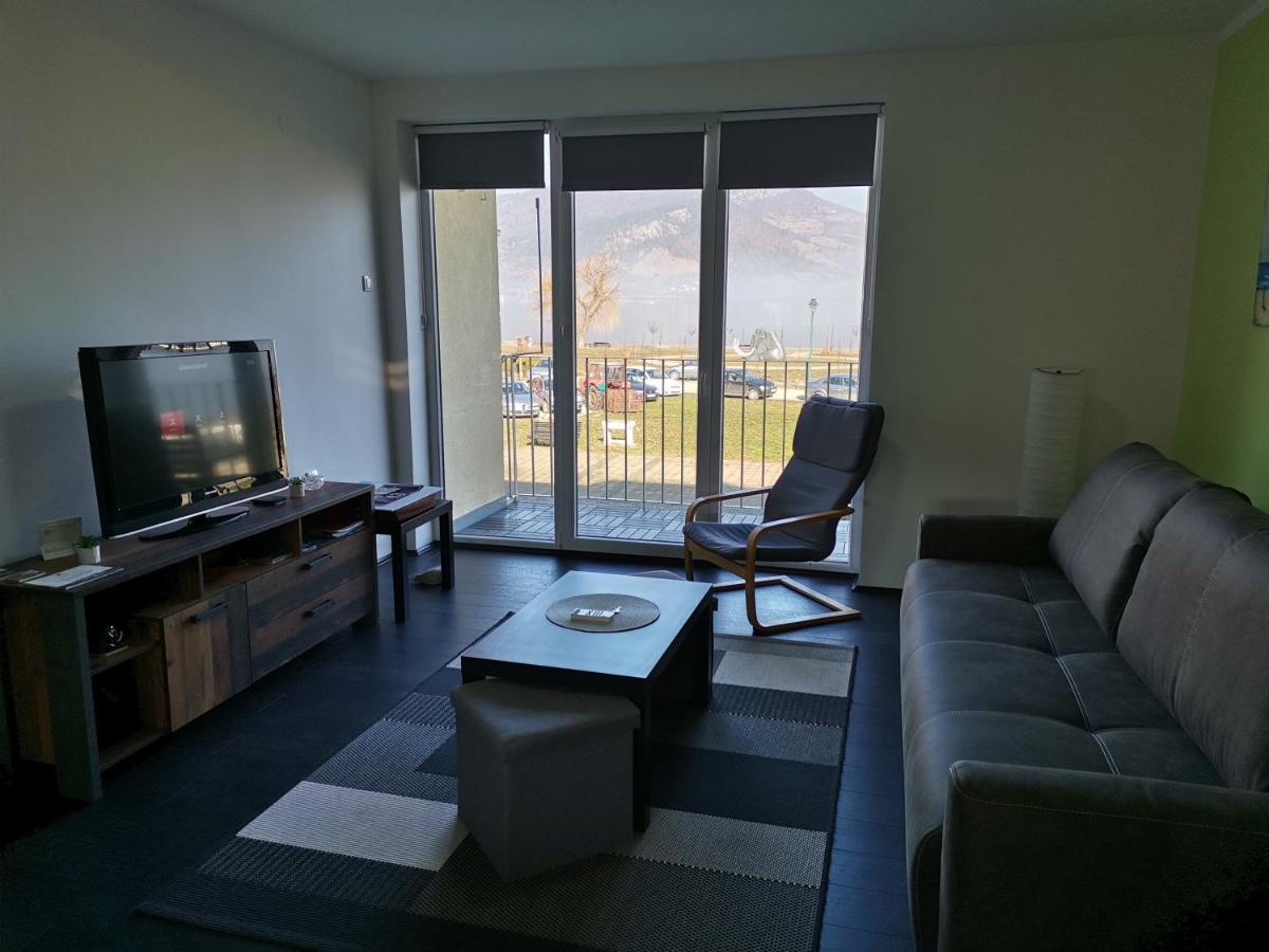 Apartman Terassa Donji Milanovac Bagian luar foto