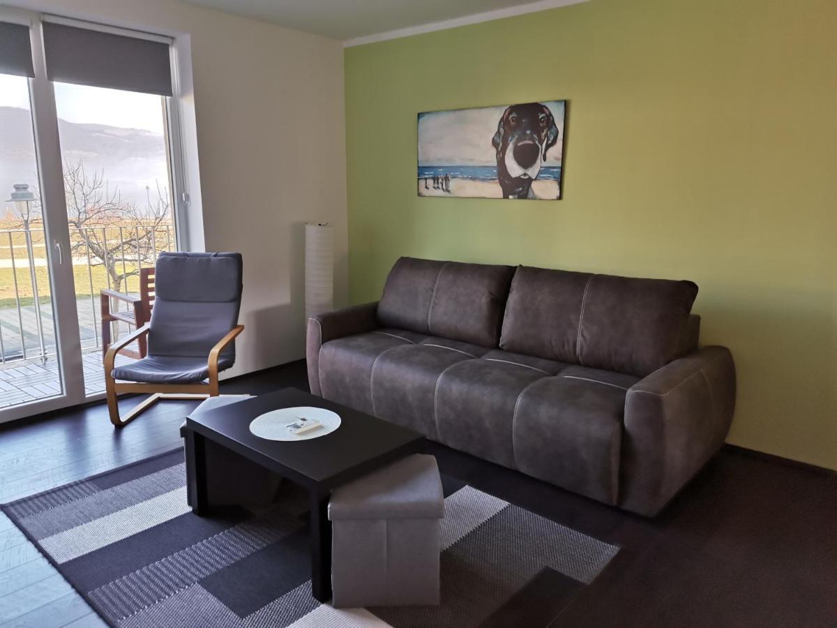 Apartman Terassa Donji Milanovac Bagian luar foto