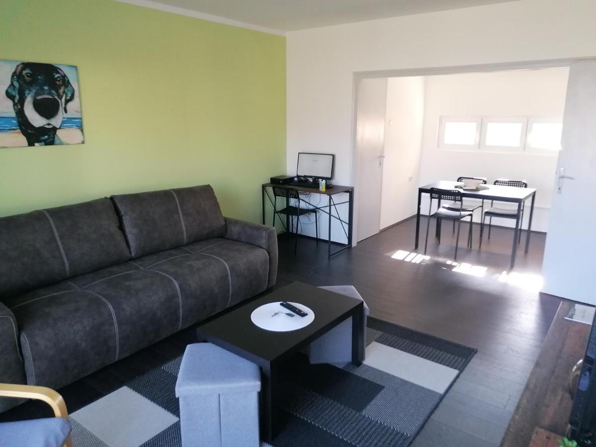 Apartman Terassa Donji Milanovac Bagian luar foto