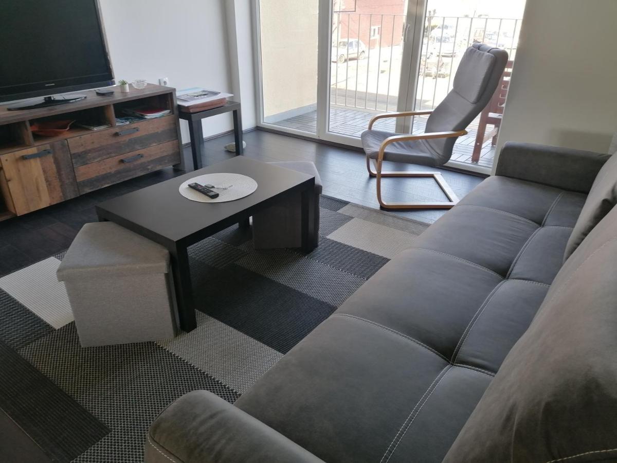 Apartman Terassa Donji Milanovac Bagian luar foto