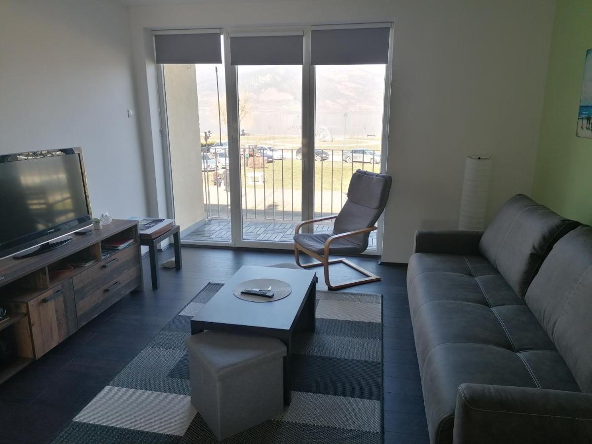 Apartman Terassa Donji Milanovac Bagian luar foto